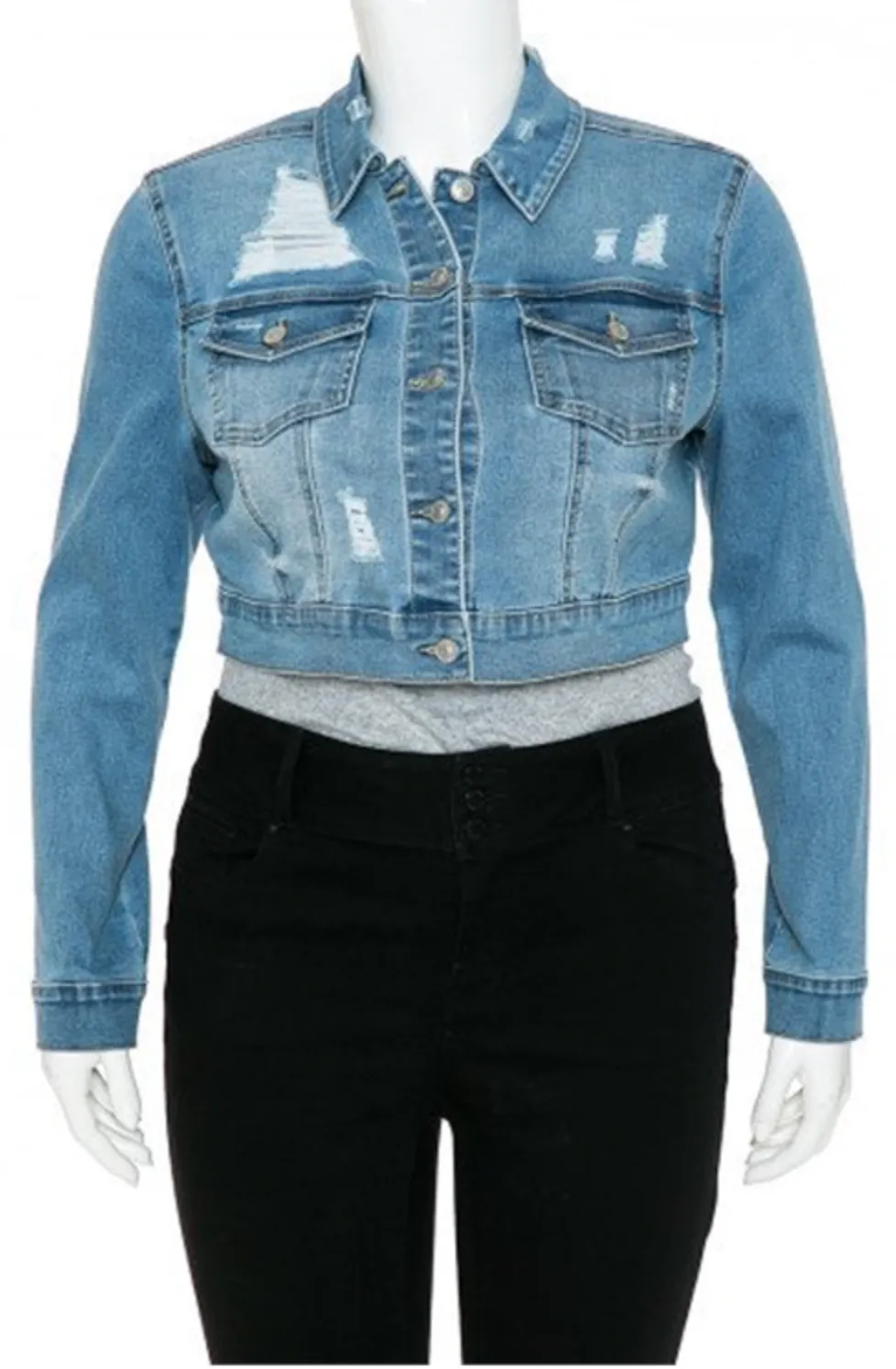 The Crop Jean Jacket 1X to 3X